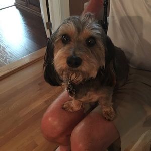 Meet your Posher, Heather